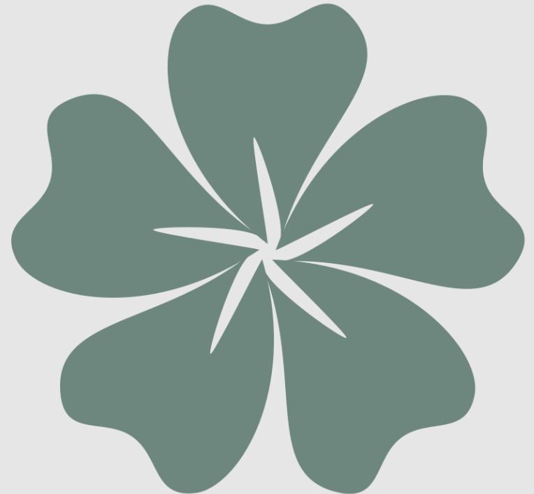 1 Hour Doula Care Consultation