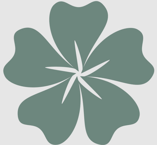 1 Hour Doula Care Consultation